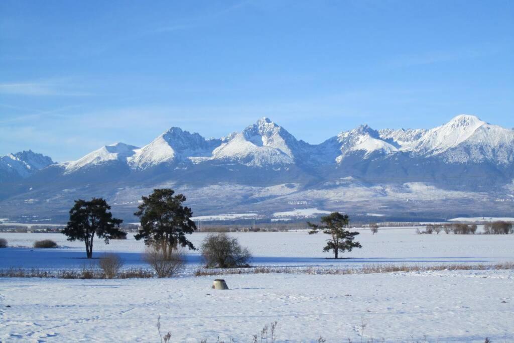 Tatra Mountains View Open-Space Apartment, N.92 Попрад Екстериор снимка